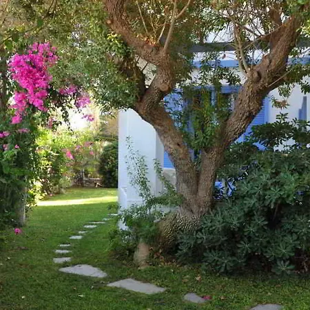 Panorama Hotel Parikia (Paros)